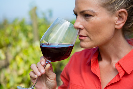 Female vintner smelling glass of wine in vineyardの写真素材
