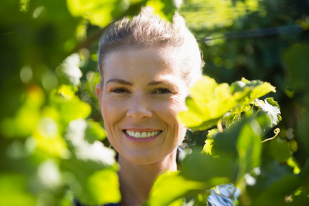 Female vintner standing in vineyard on a sunny dayの写真素材