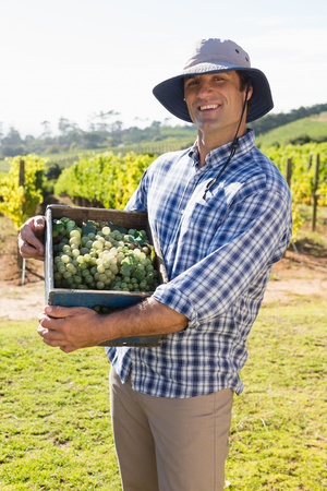 Portrait of farmer holding basket full of fresh grapesの写真素材
