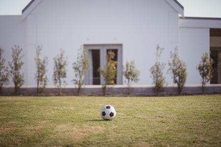 Football on green lawn on a sunny dayの写真素材