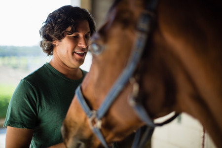 Young man caressing the brown horse in the stableの写真素材