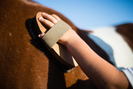 Close-up of boy grooming the horse in the ranchの写真素材
