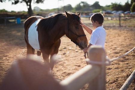 Rider boy caressing a horse in the ranch on a sunny dayの写真素材