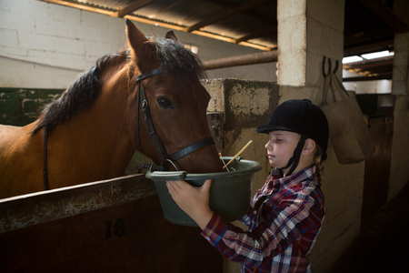 Adorable girl feeding the horse in the stableの写真素材