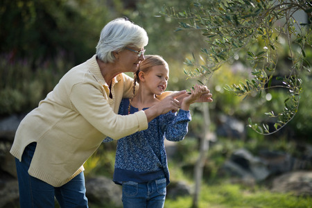 Smiling granddaughter and grandmother touching tree in gardenの写真素材