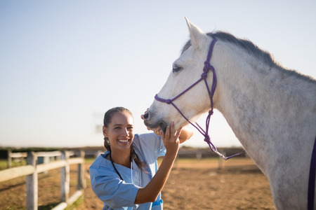 Smiling female vet examining horse at barn against skyの写真素材