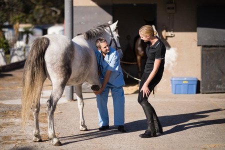 Female jockey talking to vet examining horse hoof at barnの写真素材