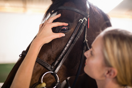 Close up of female vet checking horse eye in stableの写真素材