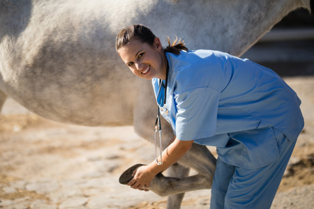 Portrait of smiling female vet examining horse hoof at barnの写真素材
