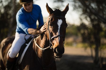 Male jockey riding horse at barnの写真素材