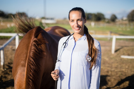 Portrait of confident vet standing by horse at barnの写真素材