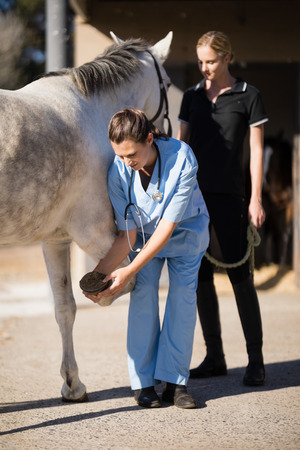 Female jockey looking at vet examining horse hoof at barnの写真素材