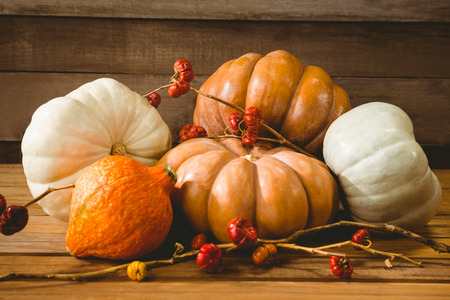 Close up of pumpkins with plant stems on wooden tableの写真素材