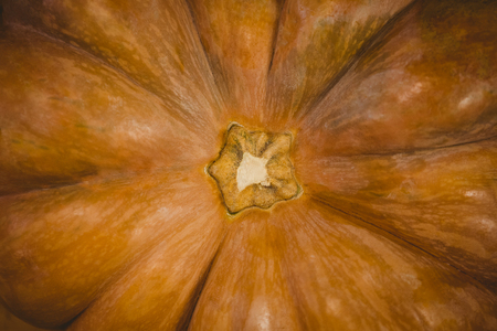 Overhead close up of pumpkinの写真素材