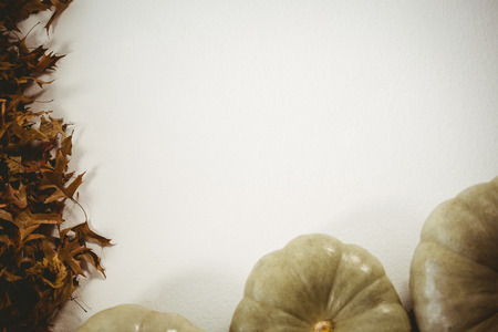 Overhead view of pumpkins by autumn leaves on white backgroundの写真素材