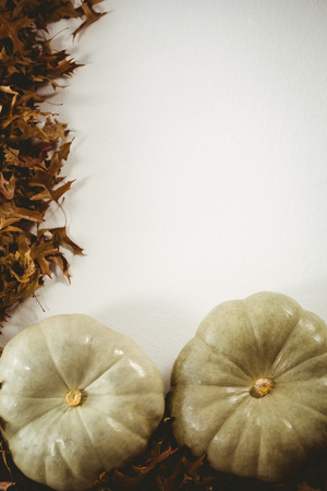 Overhead view of pumpkins with autumn leaves on white backgroundの写真素材