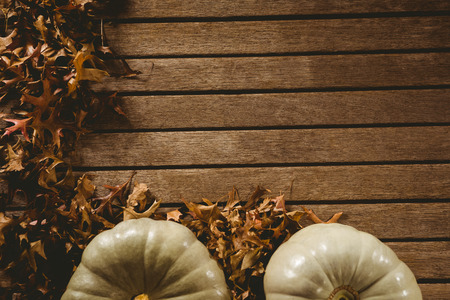 Overhead view of autumn leaves by pumpkins on table during Halloweenの写真素材