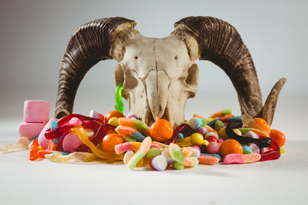 Animal skull with various candies over white backgroundの写真素材