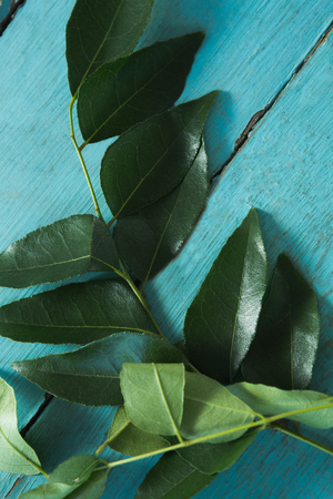 Close-up of curry leaves on wooden tableの写真素材