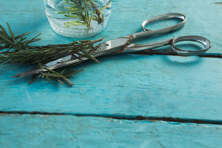 Close-up of rosemary and scissors on wooden tableの写真素材