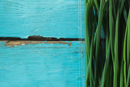 Close-up of garlic chives in plastic containerの写真素材