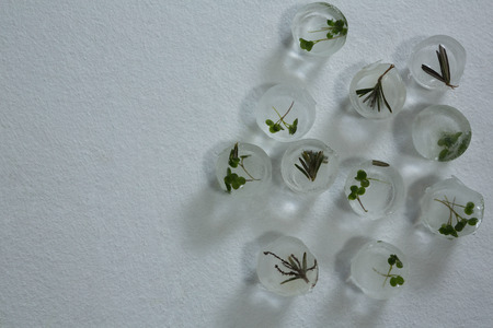 Close-up of flavored ice cubes with herbsの写真素材