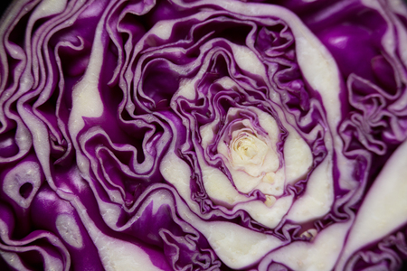 Full frame shot of red cabbage