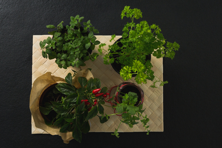Various herbs in bowl on place matの写真素材