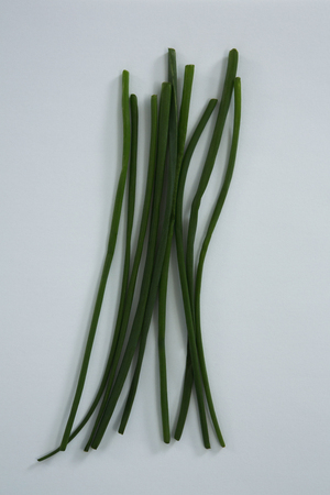 Close-up of garlic chives on white background