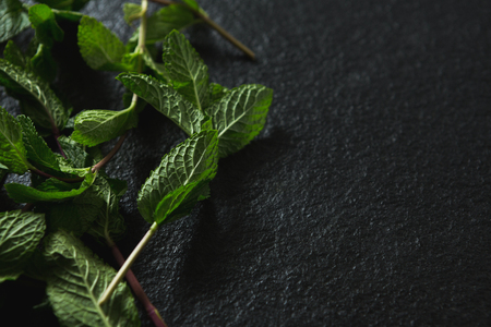 Close-up of mint leaf on black backgroundの写真素材