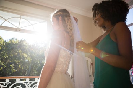 Low angle view of beautician adjusting veil on bride hair at homeの写真素材
