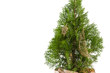 Christmas decoration hanging on christmas tree against white backgroundの写真素材