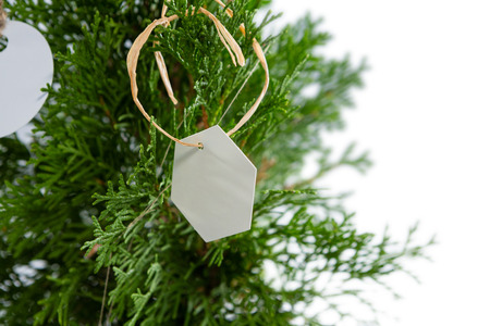 Close-up of tag hanging on christmas treeの写真素材