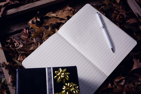 Overhead of open book, pen and frame on tableの写真素材