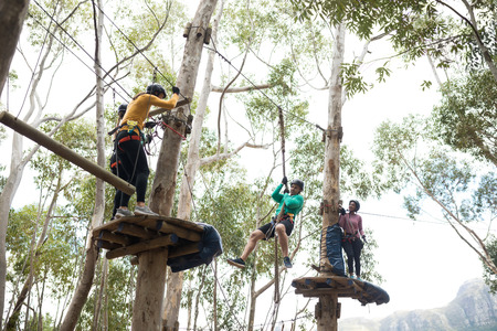 Friends enjoying zip line adventure in park on a sunny dayの写真素材
