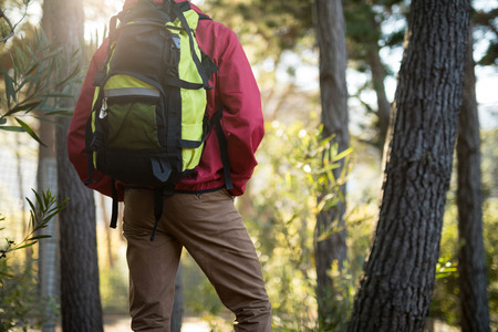 Rear view of man standing with backpack in forestの写真素材