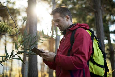 Man using digital tablet in forest on a sunny dayの写真素材