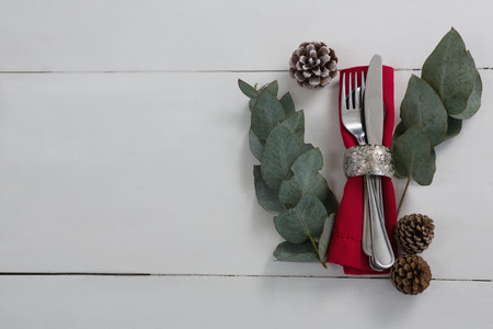 Overhead view of pine cone with leaf and cutlery on white backgroundの写真素材