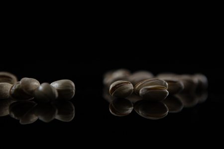 Close-up of nuts against black background