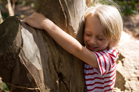 Happy little girl hugging tree trunk on a sunny day in the forestの写真素材