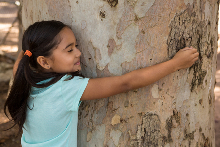 Happy little girl hugging tree trunk on a sunny day in the forestの写真素材
