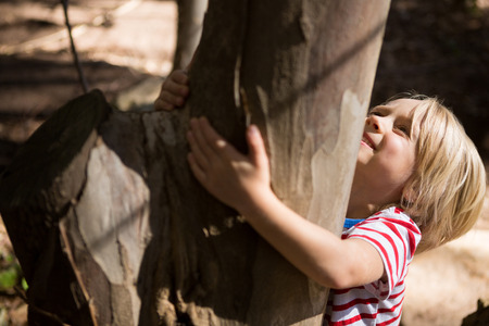 Happy little girl hugging tree trunk on a sunny day in the forestの写真素材