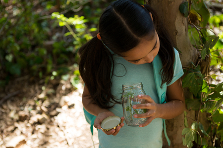 Little girl with backpack looking into jar with plant on a sunny day in the forestの写真素材