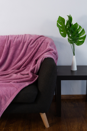 Purple banket arranged on sofaの写真素材