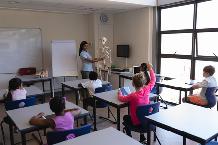 Front view of female teacher explaining skeleton parts to schoolkids in classroom of elementary schoolの写真素材