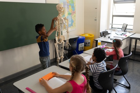 Side view of schoolboy explaining human skeleton model in classroom of elementary school