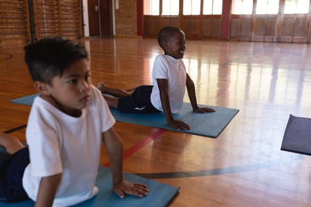 Side view of schoolkids doing yoga position on a yoga mat in school gymnasiumの写真素材