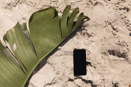 High angle view of banana leaf and mobile phone on beach in the sunshineの写真素材