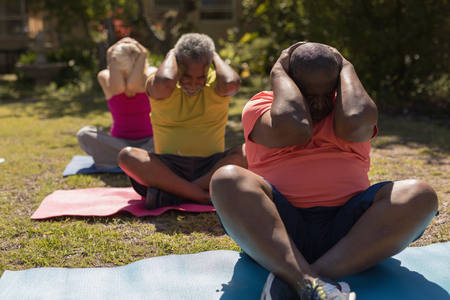 Front view of active senior people performing yoga exercice on yoga mat  in the parkの写真素材