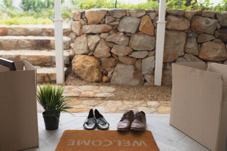 Low section of footwear, cardboard boxes and plant near welcome doormat at home